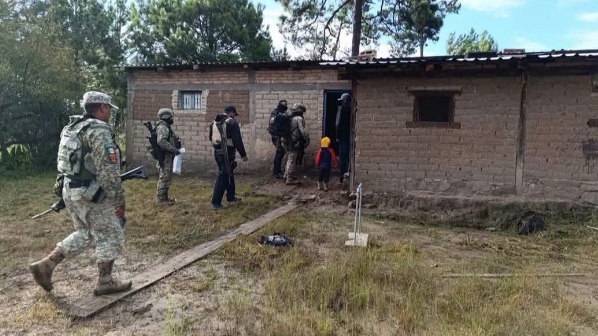 Afortunadamente, los cuerpos de auxilio lograron hacer llegar el suero antialacránico requerido para contrarrestar los efectos del veneno.