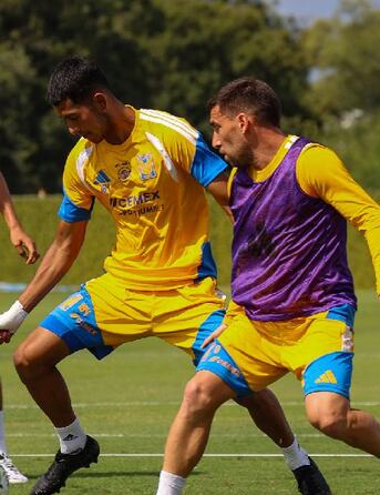 Tigres podría quedar fuera de Liguilla del Apertura 2026 si no derrota a Puebla / Facebook