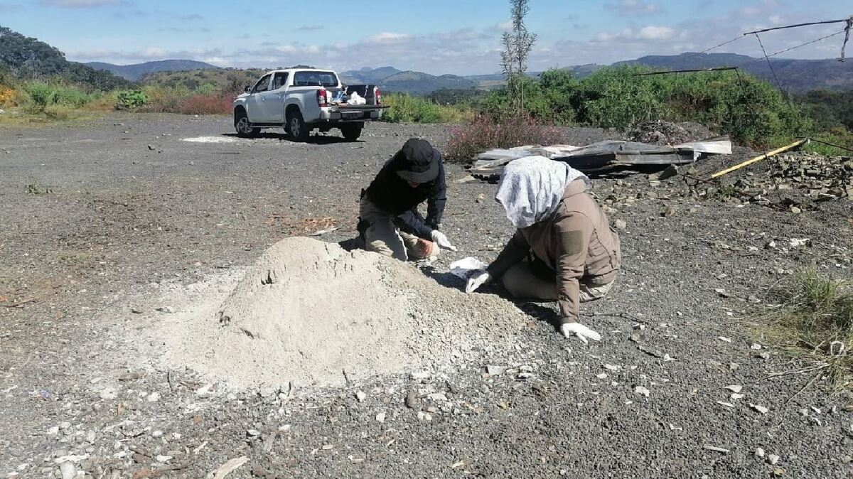 'Colectivo Buscando Cuerpos en Todo México' durante labor de búsqueda. | Margarita López