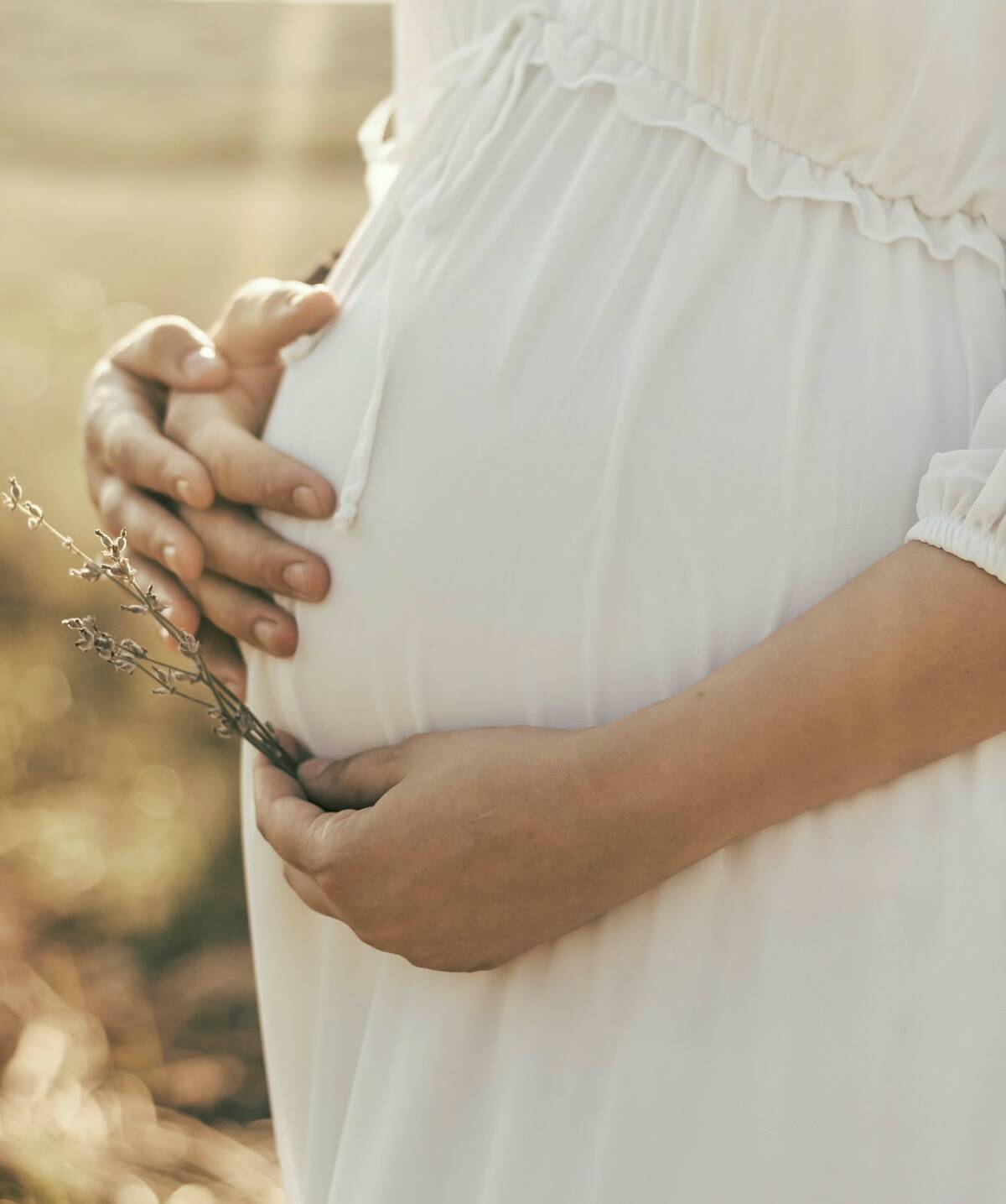El inmueble contará con espacios destinados al alojamiento temporal de las mujeres durante su gestación.