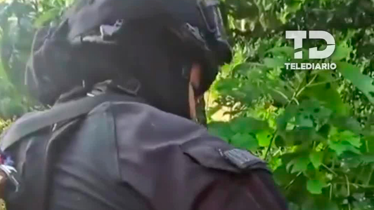 Policía de Jalisco neutraliza 35 explosivos en Zapopan