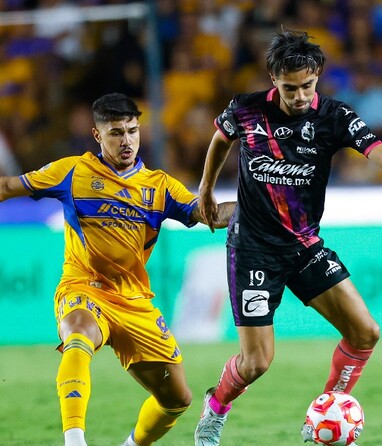 Romulo Zwarg es una de las bajas de Tigres para el partido ante Club Puebla.