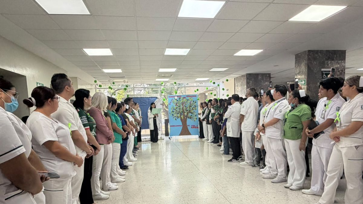 En aproximadamente un año se han realizado 28 donaciones.| Especial