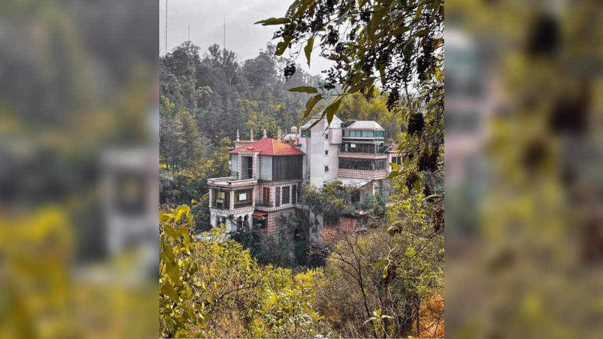 Así es la casa de 'La Tía Toña' en Chapultepec.