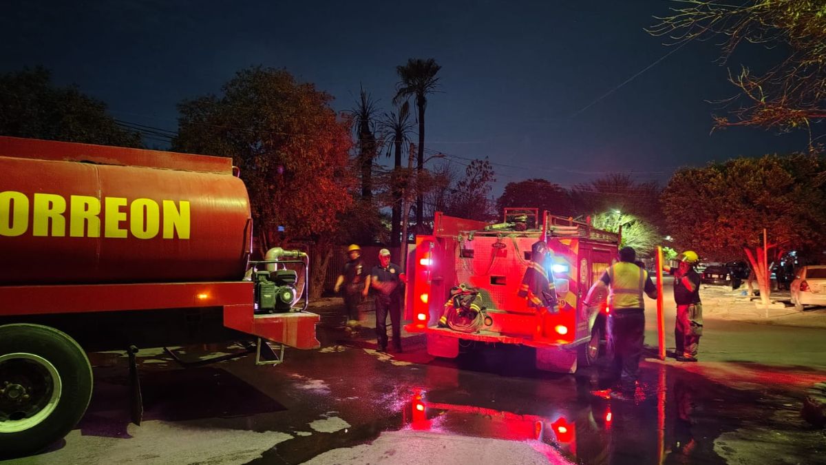 Bomberos apagaron el fuego en tres palmeras dentro del Kínder Coahuila, uno de los cuatro puntos afectados.