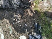 Hallazgo durante búsqueda: colectivo localiza cuerpo de un hombre en Lomas del Mirador