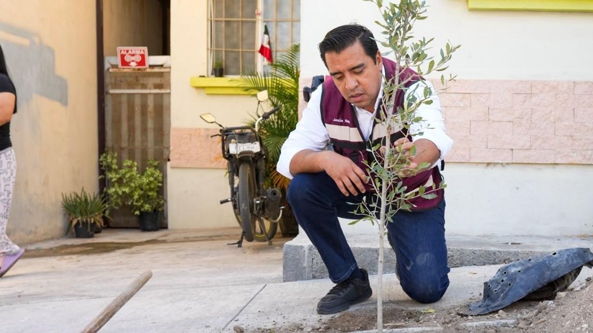 Con la entrega de cientos de árboles, el municipio de Santa Catarina busca fomentar la reforestación.