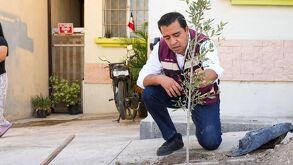 Con la entrega de cientos de árboles, el municipio de Santa Catarina busca fomentar la reforestación.