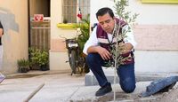 Con la entrega de cientos de árboles, el municipio de Santa Catarina busca fomentar la reforestación.