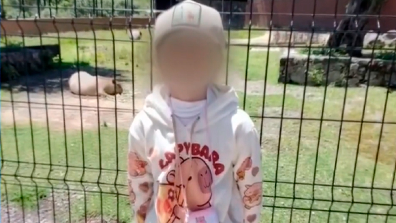 Niña de 10 años pierde un brazo tras explosión de camioneta con pirotecnia en Cuautitlán Izcalli