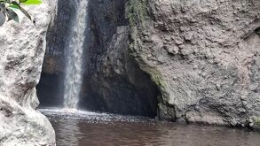 PROEPA clausura fuga de lixiviados de Picachos