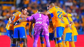 Actualmente, Tigres es decimoquinto lugar en la clasificación del Apertura 2026 / Facebook