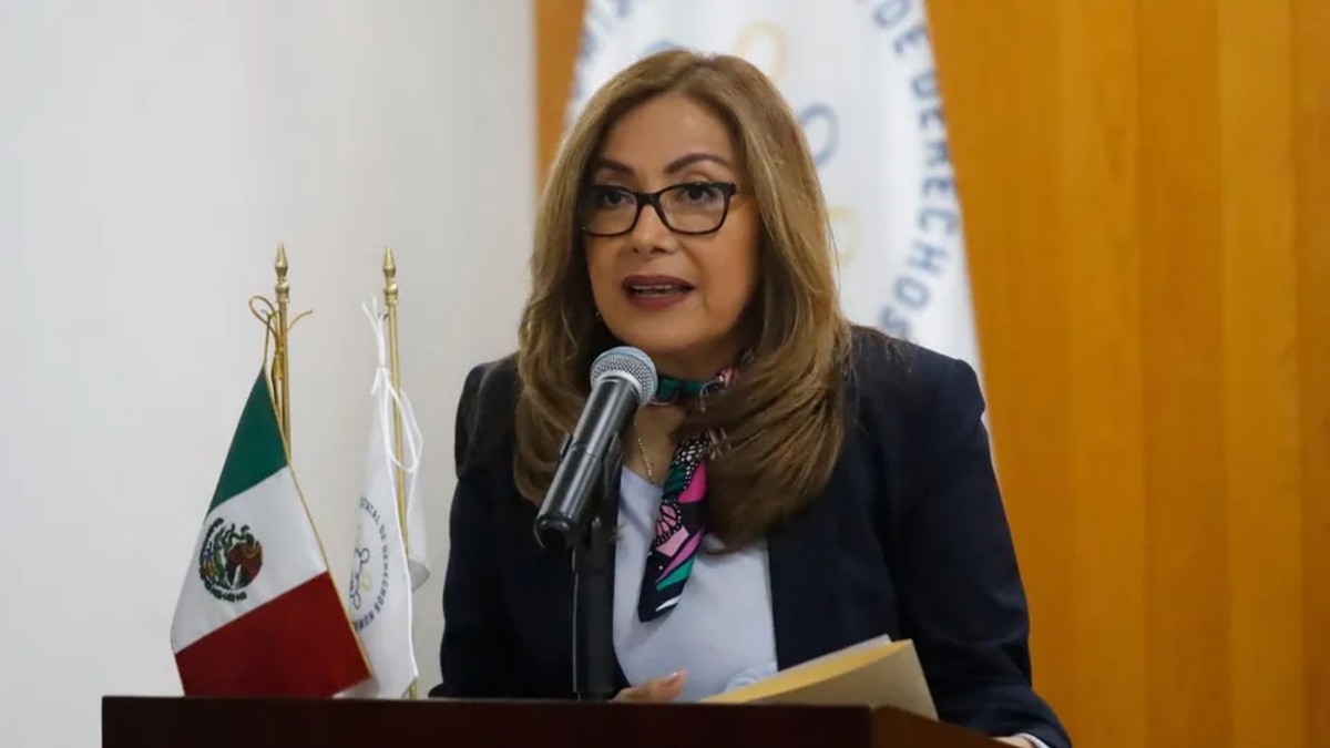 La CEDH justificó que se buscan mecanismos que amplíen y mejoren la protección de los ciudadanos