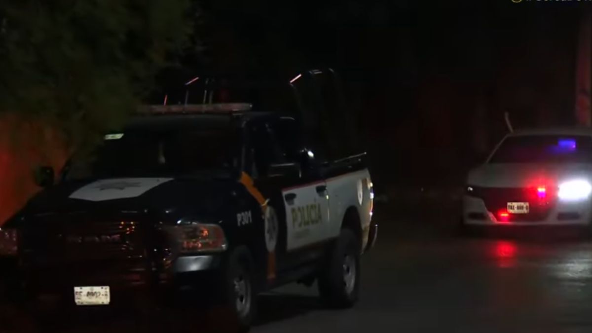 El hallazgo se registró en la parte posterior del Parque Pipo.
