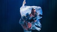 Presentación de Bangarra Dance Theatre en Guanajuato por el FIC 2026