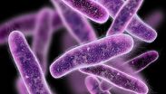 Salud Jalisco explica cuándo varios casos de Klebsiella podrían constituir un brote