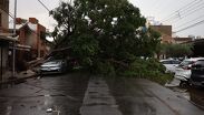 El temporal ocasionó severos encharcamientos e interrupciones en los servicios de la zona urbana.