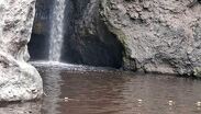 El agua del cauce muestra visibles cambios a causa de la contaminación | Grupo de resistencia civil Zapopan