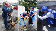 Cuadrillas de Servicios Públicos desazolvaron rejillas pluviales en arterias primarias de San Nicolás.