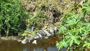 Un cuerpo sin vida fue localizado en canal de aguas negras en límites de Ecatepec y Acolman.