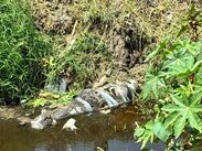 Un cuerpo sin vida fue localizado en canal de aguas negras en límites de Ecatepec y Acolman.
