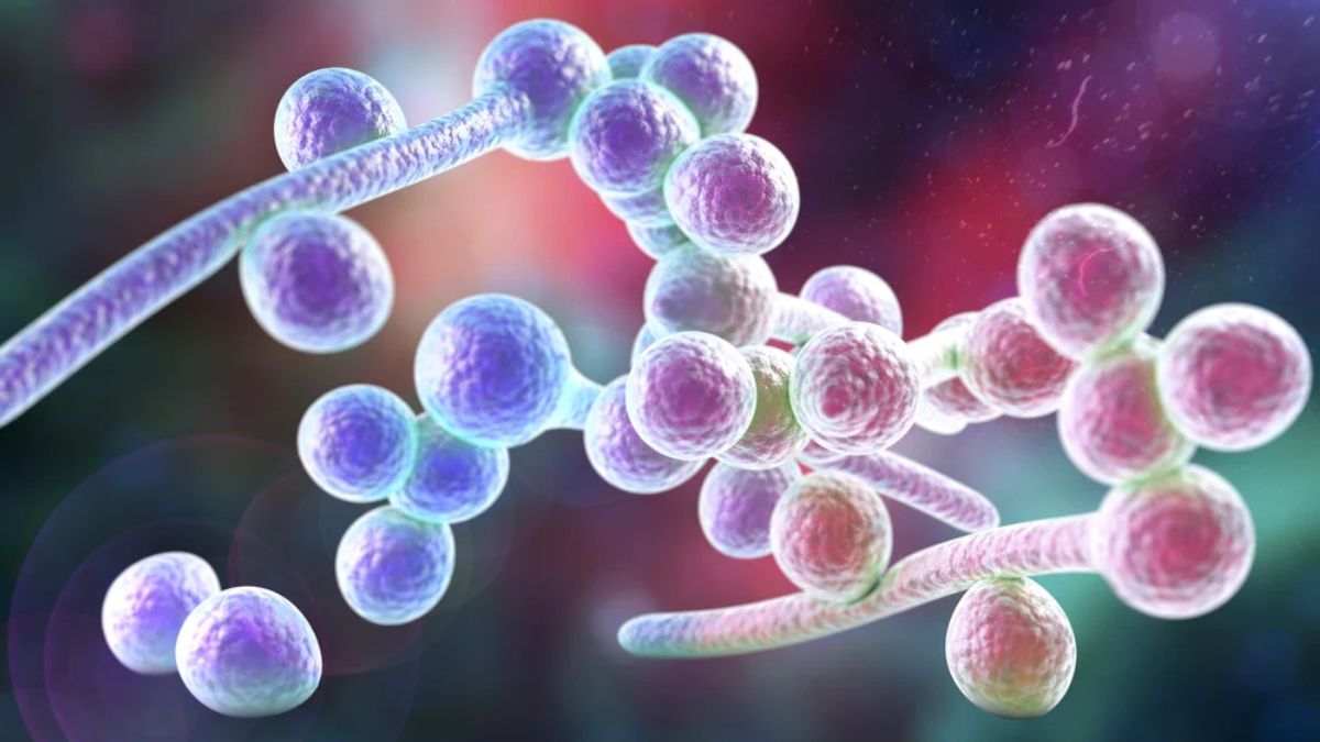 Investigan un brote de Klebsiella pneumoniae y Candida albicans en Guadalajara.