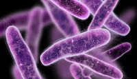 Salud Jalisco explica cuándo varios casos de Klebsiella podrían constituir un brote