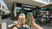 Starbucks ha fomentado desde hace años el uso de vasos reusables en todos el mundo/ Gemini