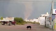 Torbellino provoca destrozos en Central de Abastos de Actopan, Hidalgo