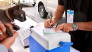 El virus de la rabia afecta de forma directa el sistema nervioso central y se transmite mediante la saliva