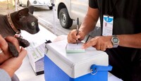 El virus de la rabia afecta de forma directa el sistema nervioso central y se transmite mediante la saliva
