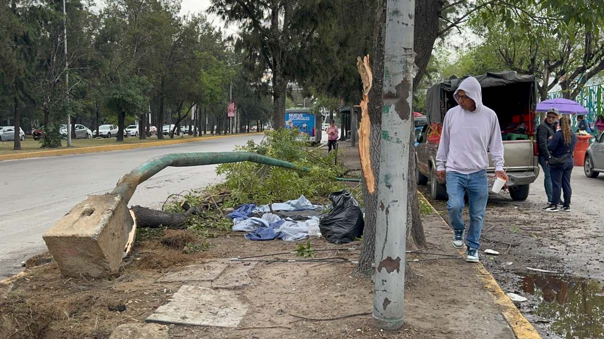 Un camión de la empresa Oxxo impactó contra un poste de luz y un árbol en el Bulevar del Niño Poblano | Ulises Raziel Juárez Guarneros