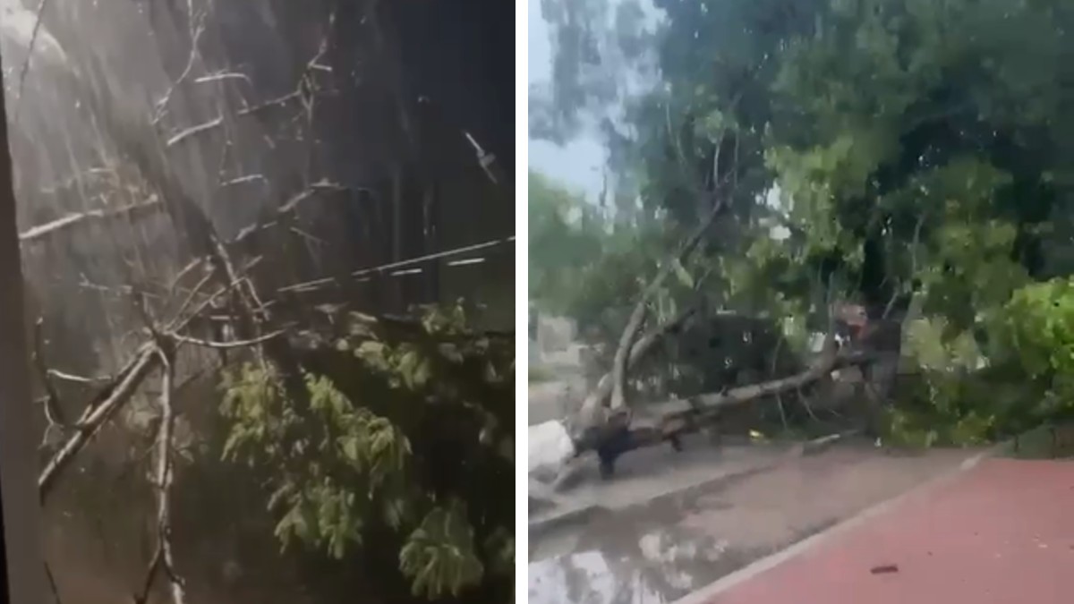 Las lluvias torrenciales golpearon distintas zonas de San Luis Potosí.