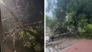 Las lluvias torrenciales golpearon distintas zonas de San Luis Potosí.