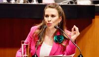 Venta de terreno de Carolina Viggiano multiplicó 9 veces su valor.
