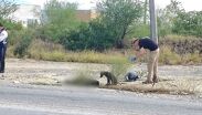 Hombre muere tras presenciar atropello en Apodaca; su perro custodia el cuerpo. TD Fin de Semana Vespertino Monterrey, 03 de octubre de 2026