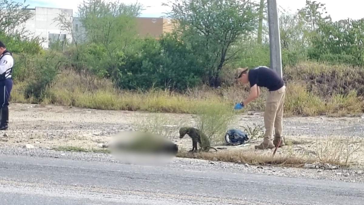 El perrito no se despegaba del cuerpo del hombre.| Agustín Martínez