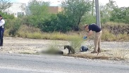 El perrito no se despegaba del cuerpo del hombre.| Agustín Martínez