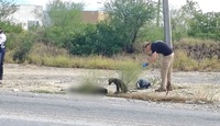 El perrito no se despegaba del cuerpo del hombre.| Agustín Martínez