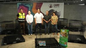Ante las lluvias, Santa Catarina habilita espacio para resguardar a animales callejeros