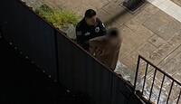 El individuo fue detenido y posteriormente trasladado ante el Ministerio Público, donde se determinará su situación legal.