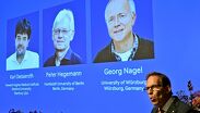 Karl Deisseroth, Peter Hegemann y Georg Nagel fueron los ganadores del Premio Nobel de Fisiología o Medicina de 2026.