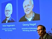 Karl Deisseroth, Peter Hegemann y Georg Nagel fueron los ganadores del Premio Nobel de Fisiología o Medicina de 2026.