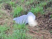 Localizan a un hombre sin vida en Gómez Farías.