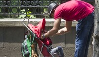 En México existen entre 796 mil y un millón de hogares encabezados únicamente por un padre soltero.