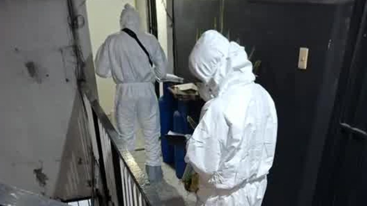 Vecinos denuncian plaga tras muerte de hombre en departamento de la CdMx