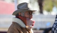 Algunos de estos virus producen molestias durante pocas horas