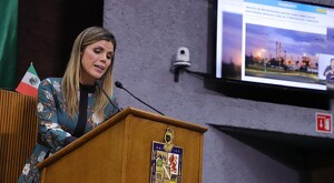 Piden auditar sus desfogues y sistemas de control de emisiones.