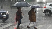 Planifica tu día con el pronóstico del Servicio Meteorológico Nacional.