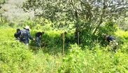 Investigan posible centro de exterminio e incineración en Nayarit.